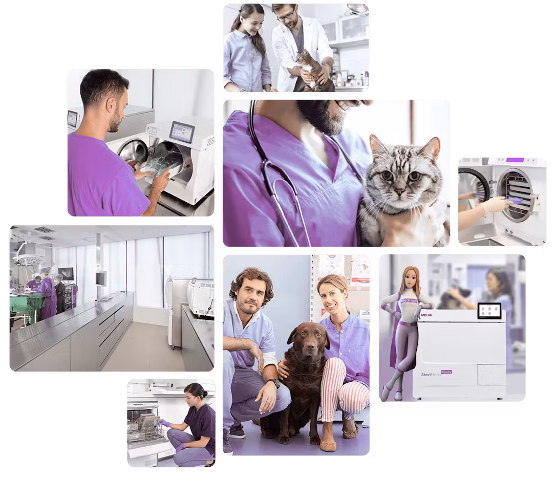 SteriHero-Vet-23